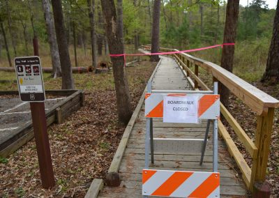 National Forests in Piney Woods Closing Some Trails, Campsites