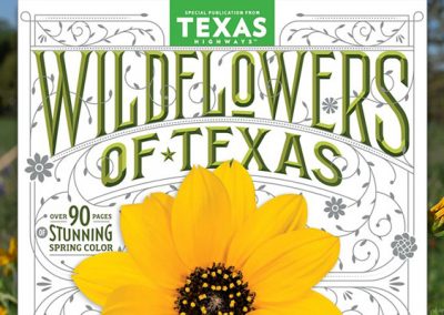 Texas Highways Debuts Special Issue Dedicated to All Things Texas Wildflowers