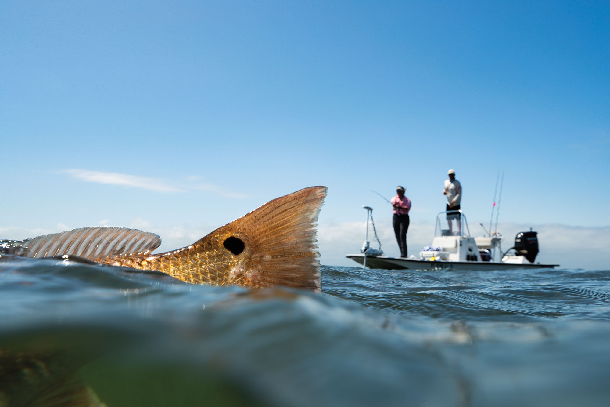 Fly Fishing Laguna Madre on the Texas Coast - Flylords Mag