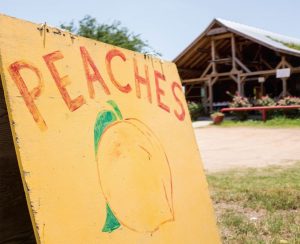 Where and When to Find Peaches in Texas This Year