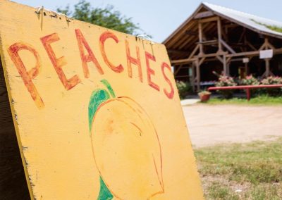 Where and When to Find Peaches in Texas This Year