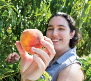How to Make the Most of Texas Peach Season