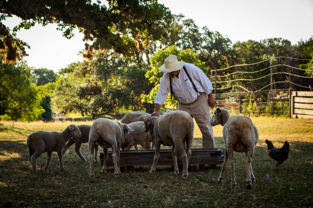 Things to Do in Texas This Weekend for Presidents’ Day