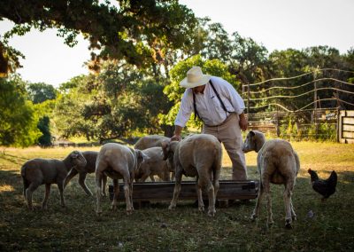 Things to Do in Texas This Weekend for Presidents’ Day
