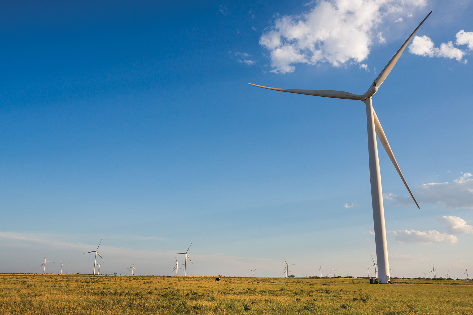 Lubbock store wind energy