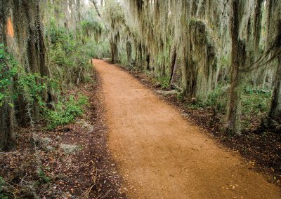 Spanish Moss and Tranquility in Santa Ana National Wildlife Refuge