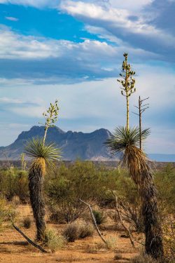 Historical Treasures Await on This Rarely Traveled Stretch of Big Bend ...