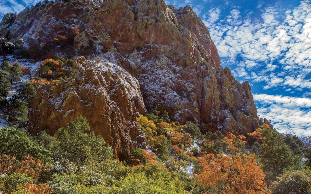 Photo: A Snowy Autumn Day in the Chisos Mountain of Big Bend