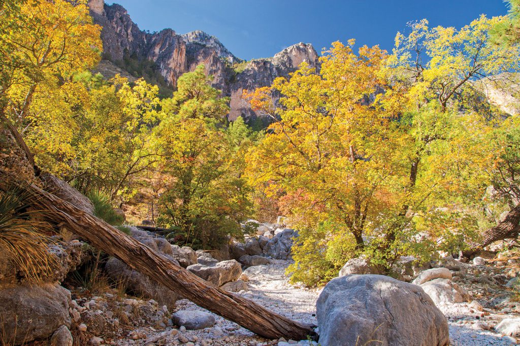 Fall Really Does Happen in Texas - You Just Have to Know Where to Look