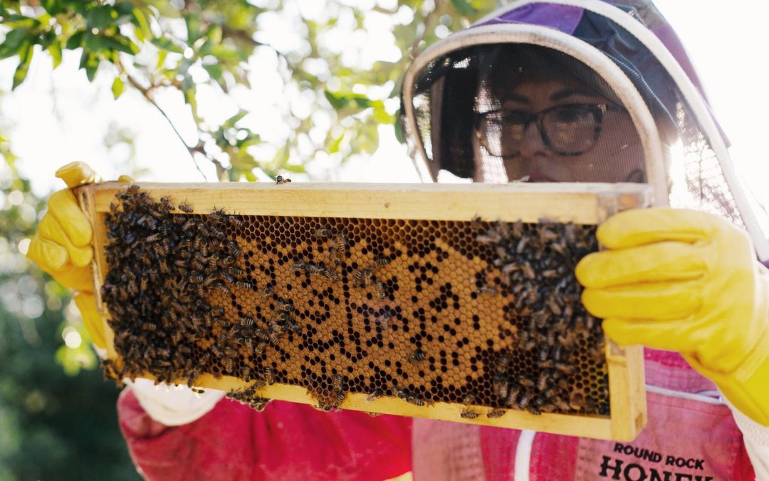 5 Texas Beekeeping Classes and Tours