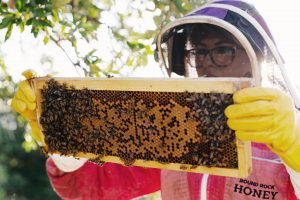 5 Texas Beekeeping Classes and Tours
