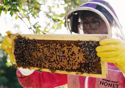 5 Texas Beekeeping Classes and Tours