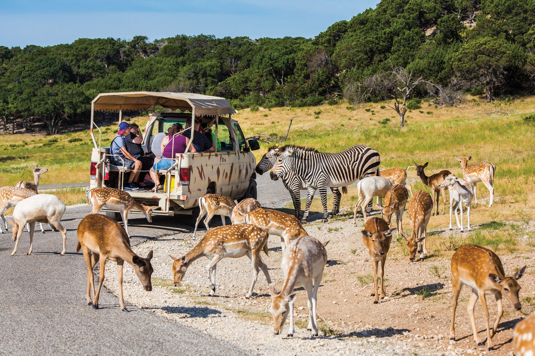 Fossil Rim Park Map