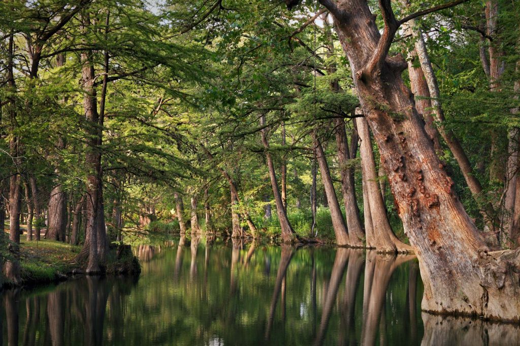 Crossroads in Wimberley, Wimberley