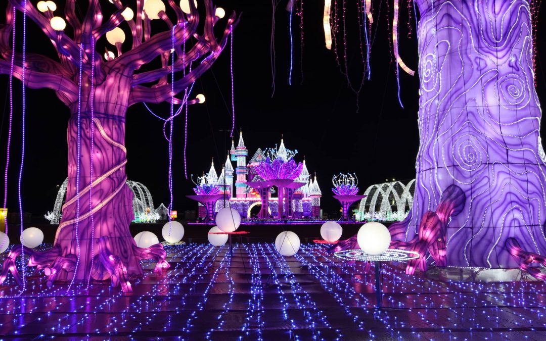 Magical Winter Lights