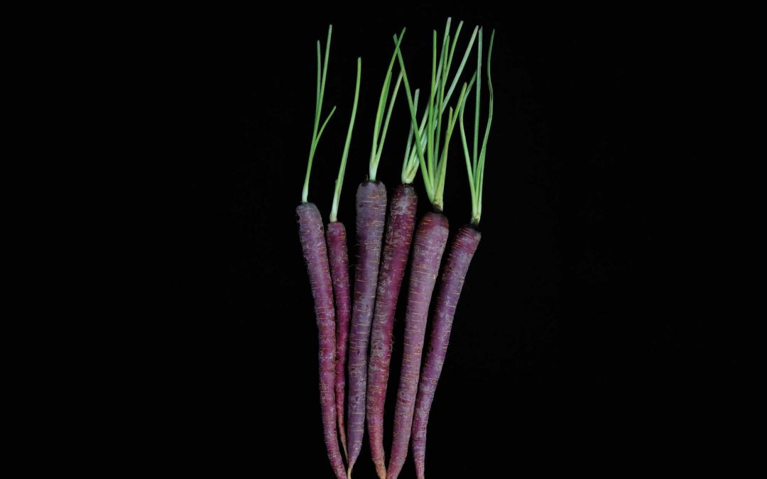 From Red Rio Grapefruit to Aggie-Colored Carrots, How Farmers and Scientists Invent Truly Texas Produce