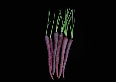 From Red Rio Grapefruit to Aggie-Colored Carrots, How Farmers and Scientists Invent Truly Texas Produce