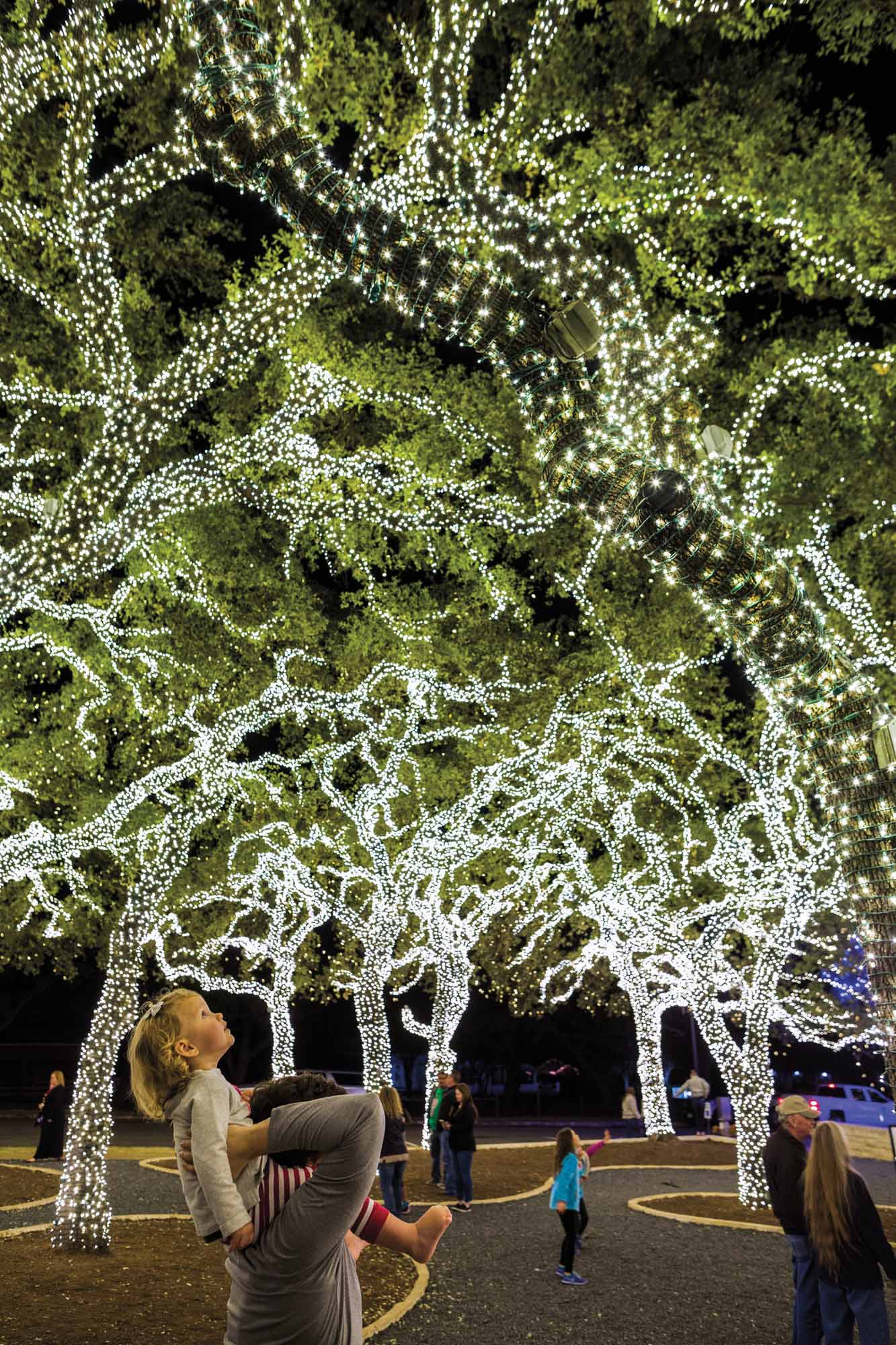 Escape the Crowds at These 5 SmallTown Holiday Light Spectaculars