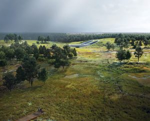 Memorial Park's New Eastern Glades Provides An Urban Wilderness Near  Downtown Houston – Houston Public Media