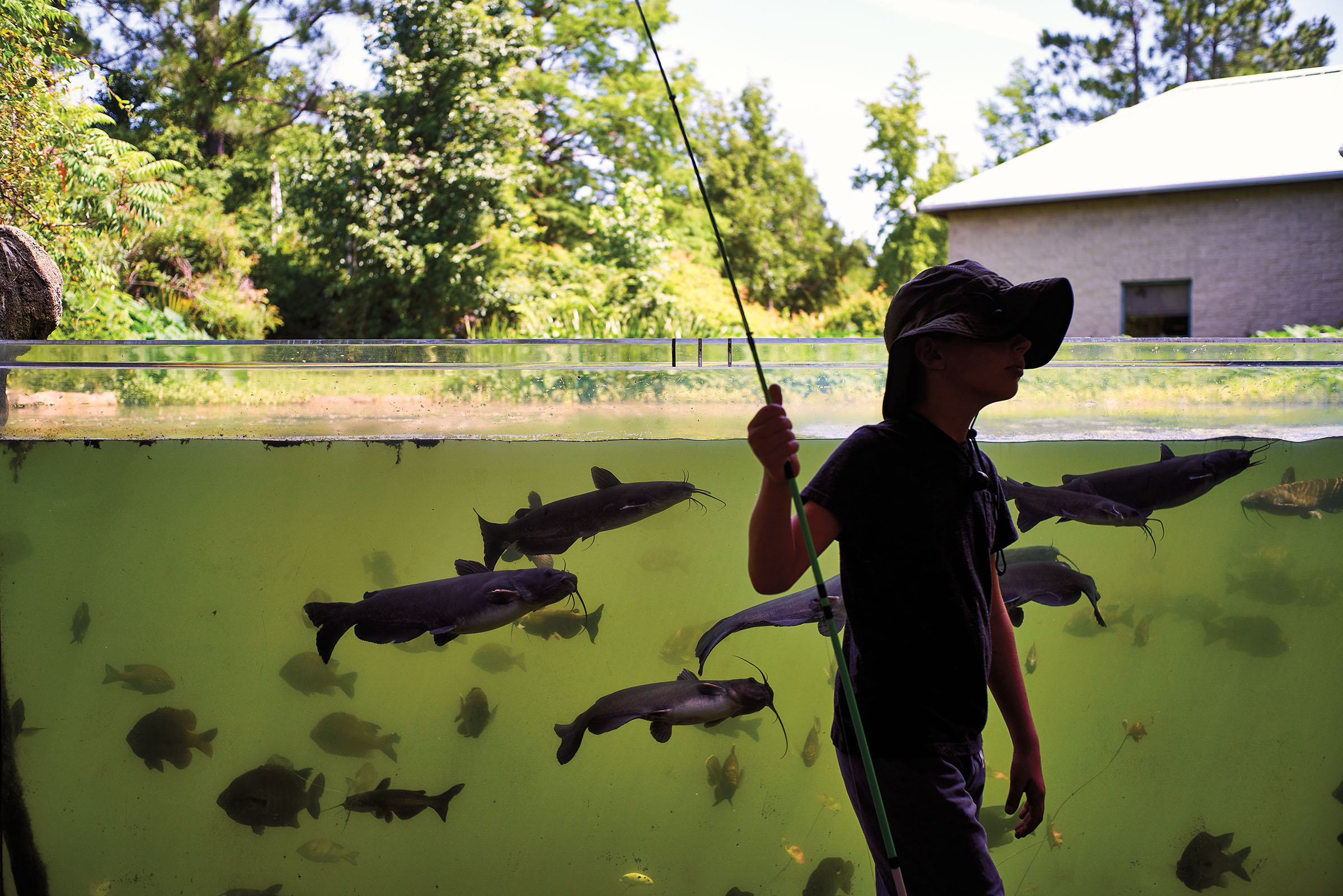 A young man participates in Free Fishing Day at the Texas Freshwater Fisheries Center in Athens, Texas