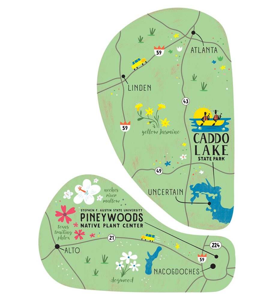 12 Scenic Wildflower Drives for the Perfect Spring Road Trip