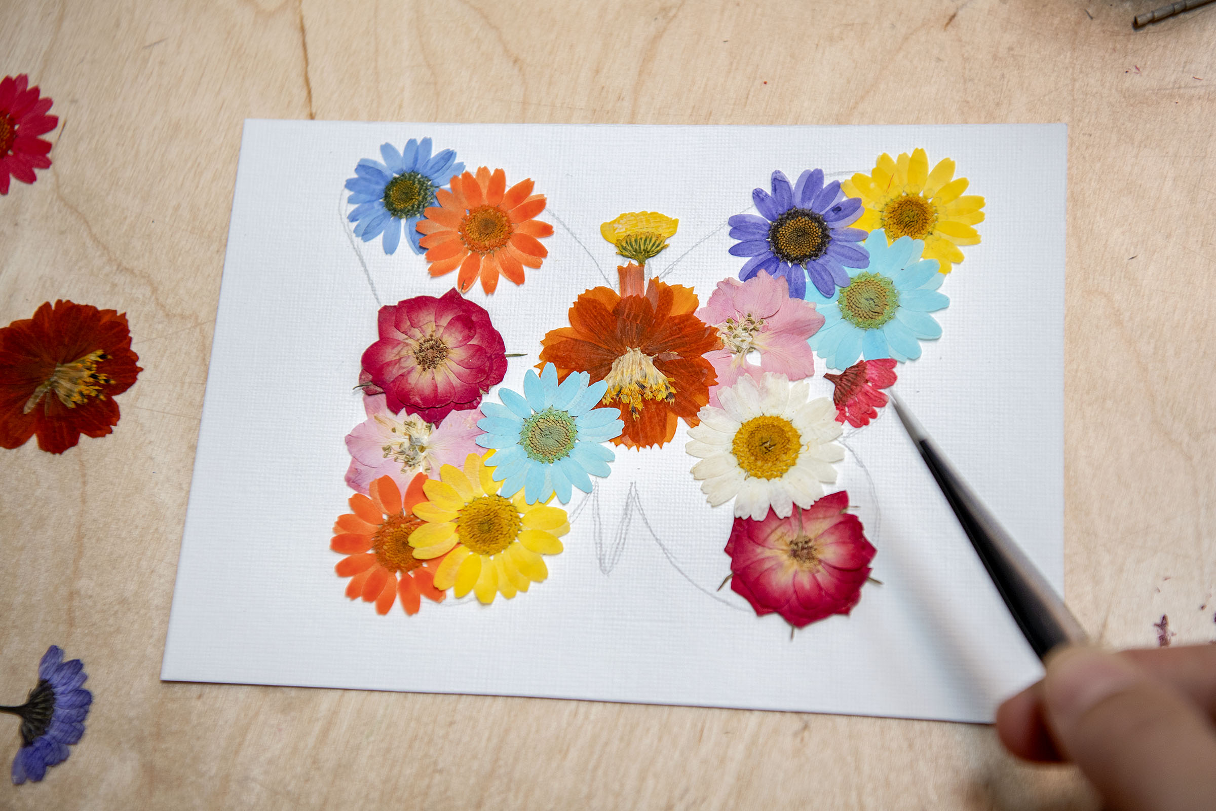 How To Make a Pressed Flower Art Business