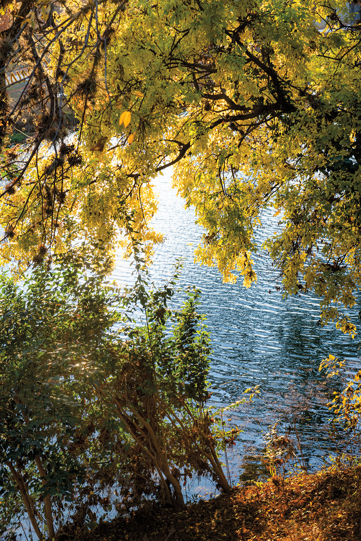 The Guadalupe River near Kerville Texas