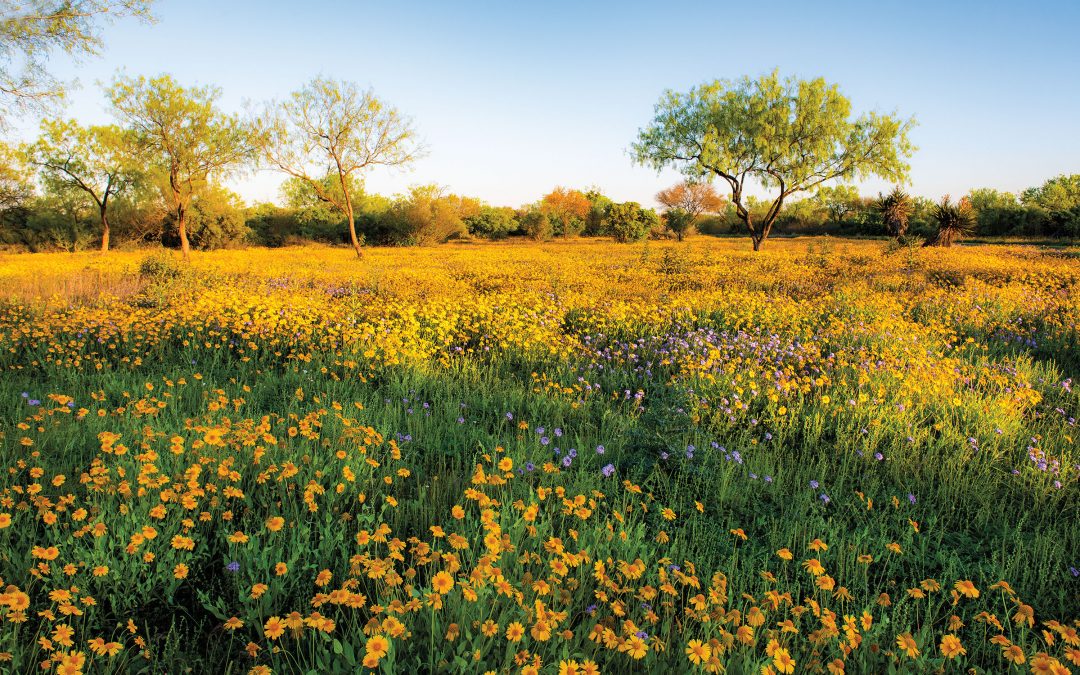 Spring Getaway: How to Spend a Weekend in Kerrville