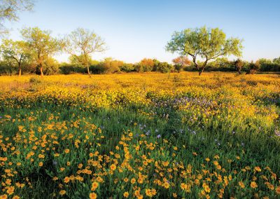 How to Spend a Weekend in Kerrville