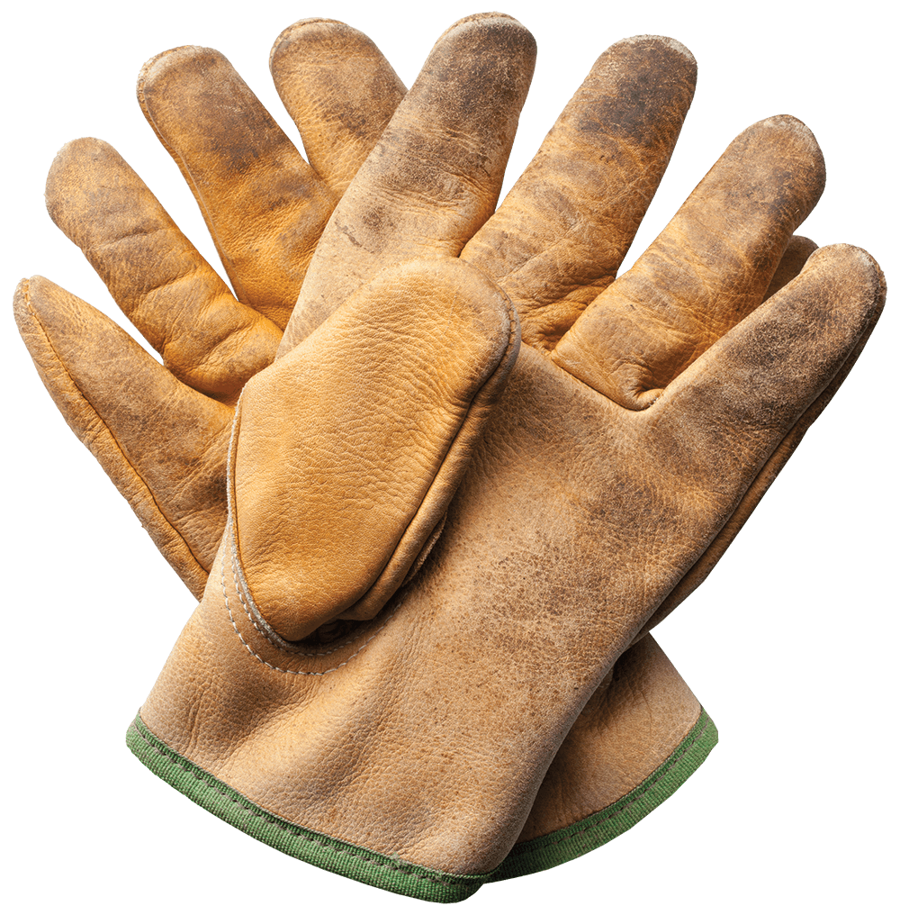 A pair of gardening gloves
