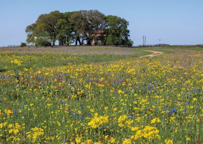 Where to Stay Among the Wildflowers