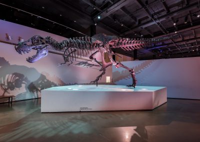 Take a Virtual Tour of These 5 Texas Museums