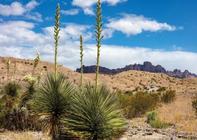 A Journey Down River Road Offers Big Bend Scenery and Plenty of Room to Think