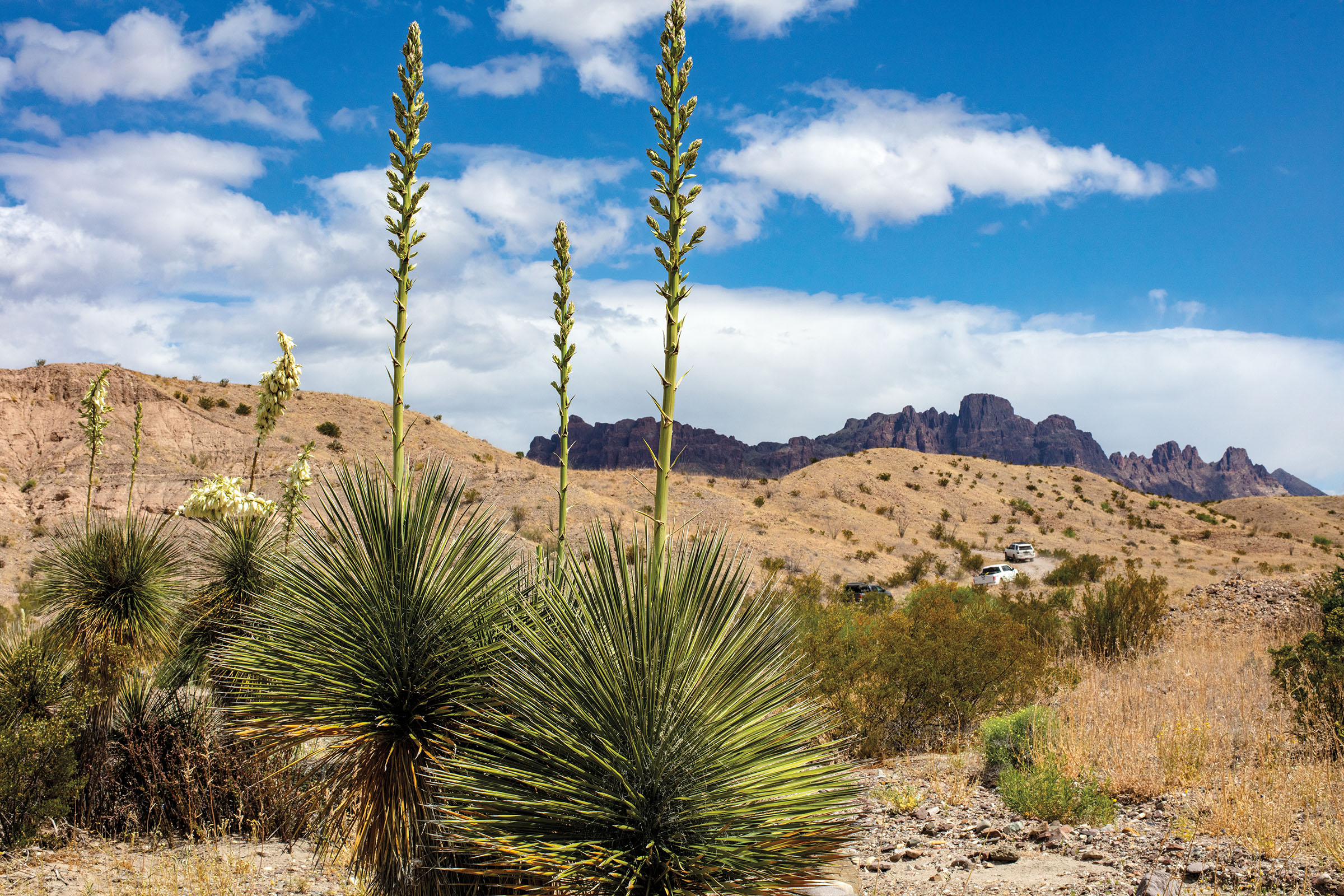 A Journey Down River Road Offers Big Bend Scenery and Plenty of