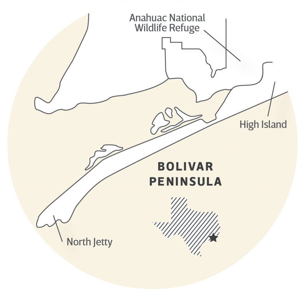 Why the Bolivar Peninsula is One of the Best Birding Spots in the World