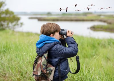 A Beginner’s Guide to Birding in Texas