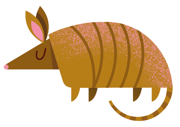 An illustration of an armadillo