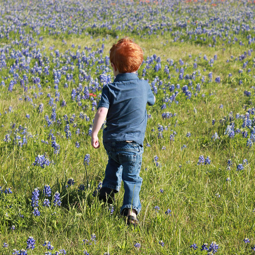 Your Guide to the Perfect Texas Road Trip