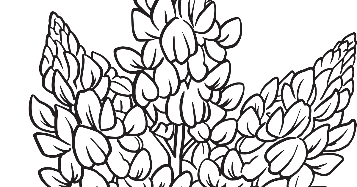 Download Download Our Printable Wildflower Coloring Pages | Texas ...