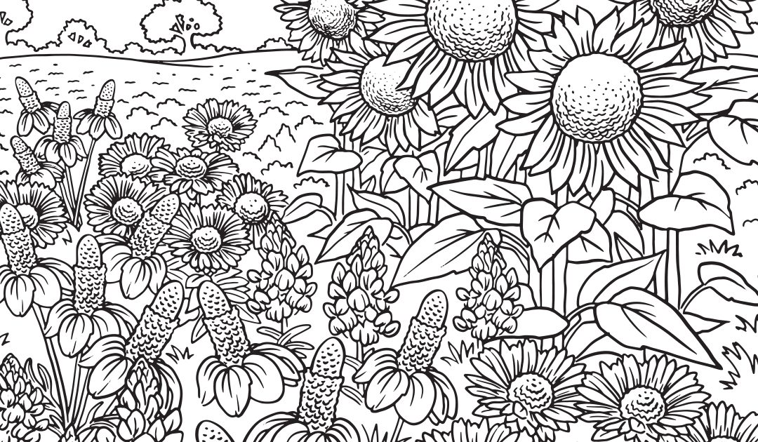 Download Our Printable Wildflower Coloring Pages