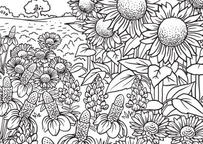 Download Our Printable Wildflower Coloring Pages