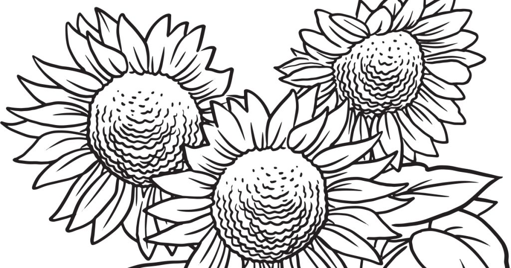 Download Our Printable Wildflower Coloring Pages