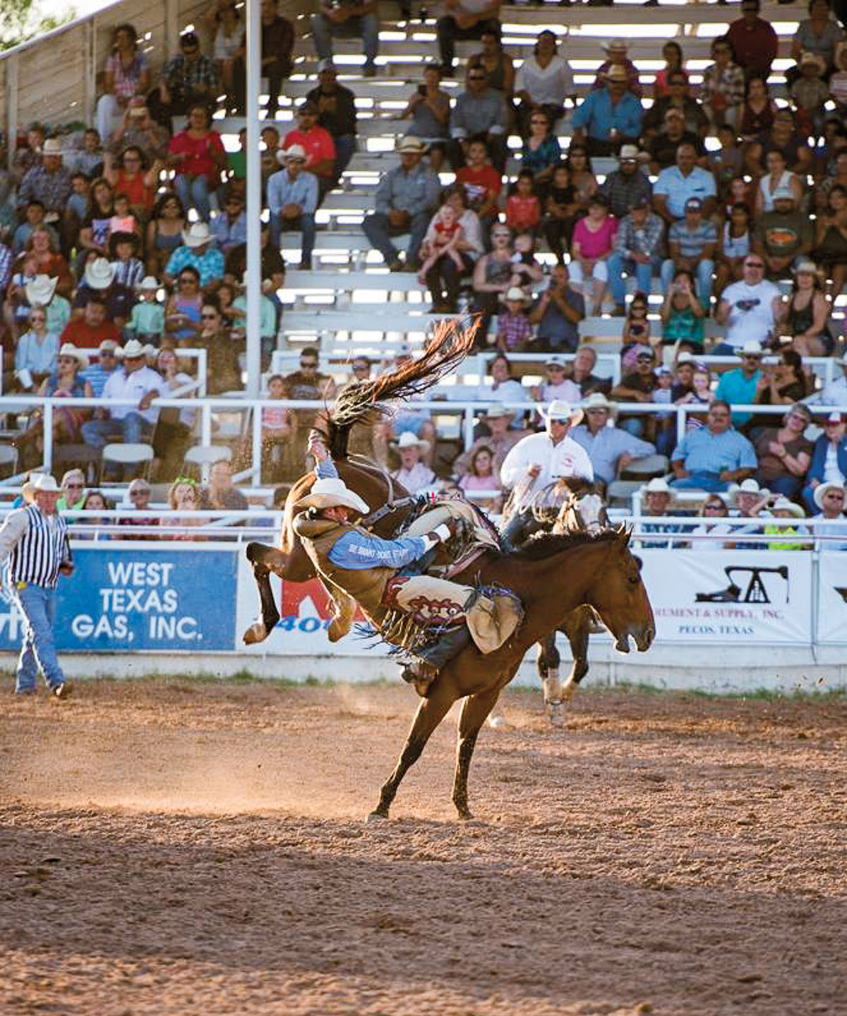 A rider is thrown from the saddle at the West of Pecos Rodeo