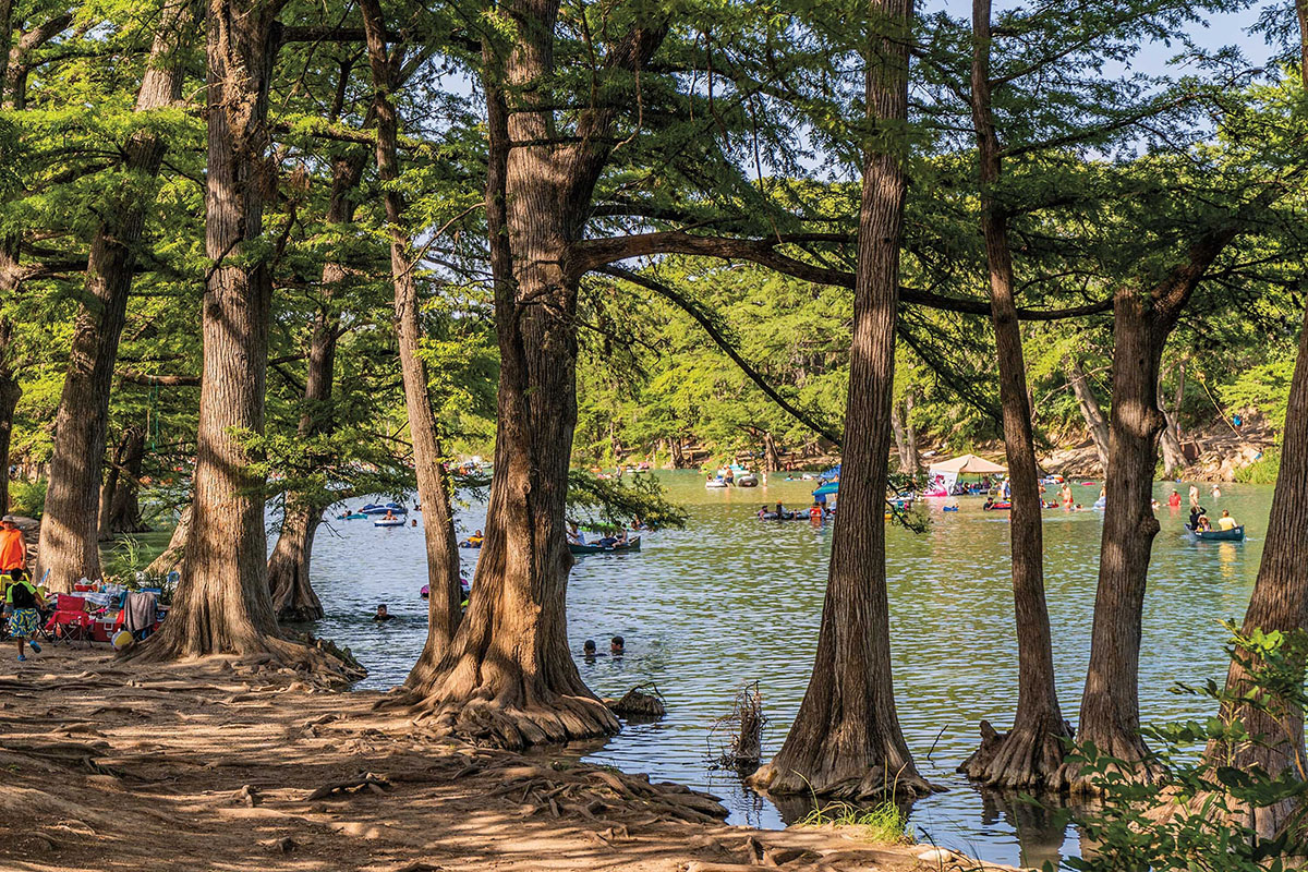 Trees grow out of the water of the Frio River in Garner State Park, Texas