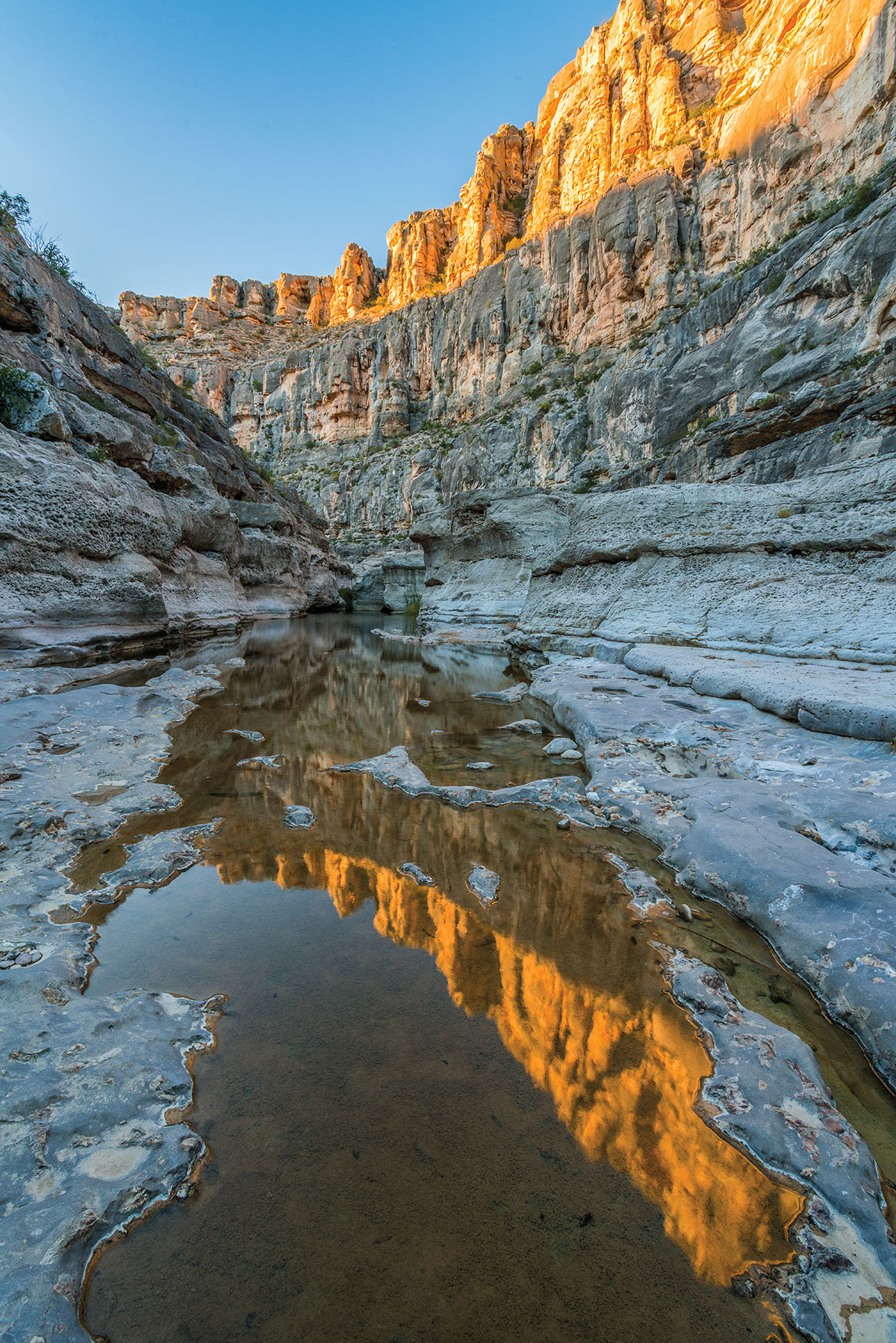 A reflection of the canyons along San Francisco Creek