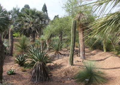 Internationally Known John Fairey Garden Reopens For Public Tours on June 20