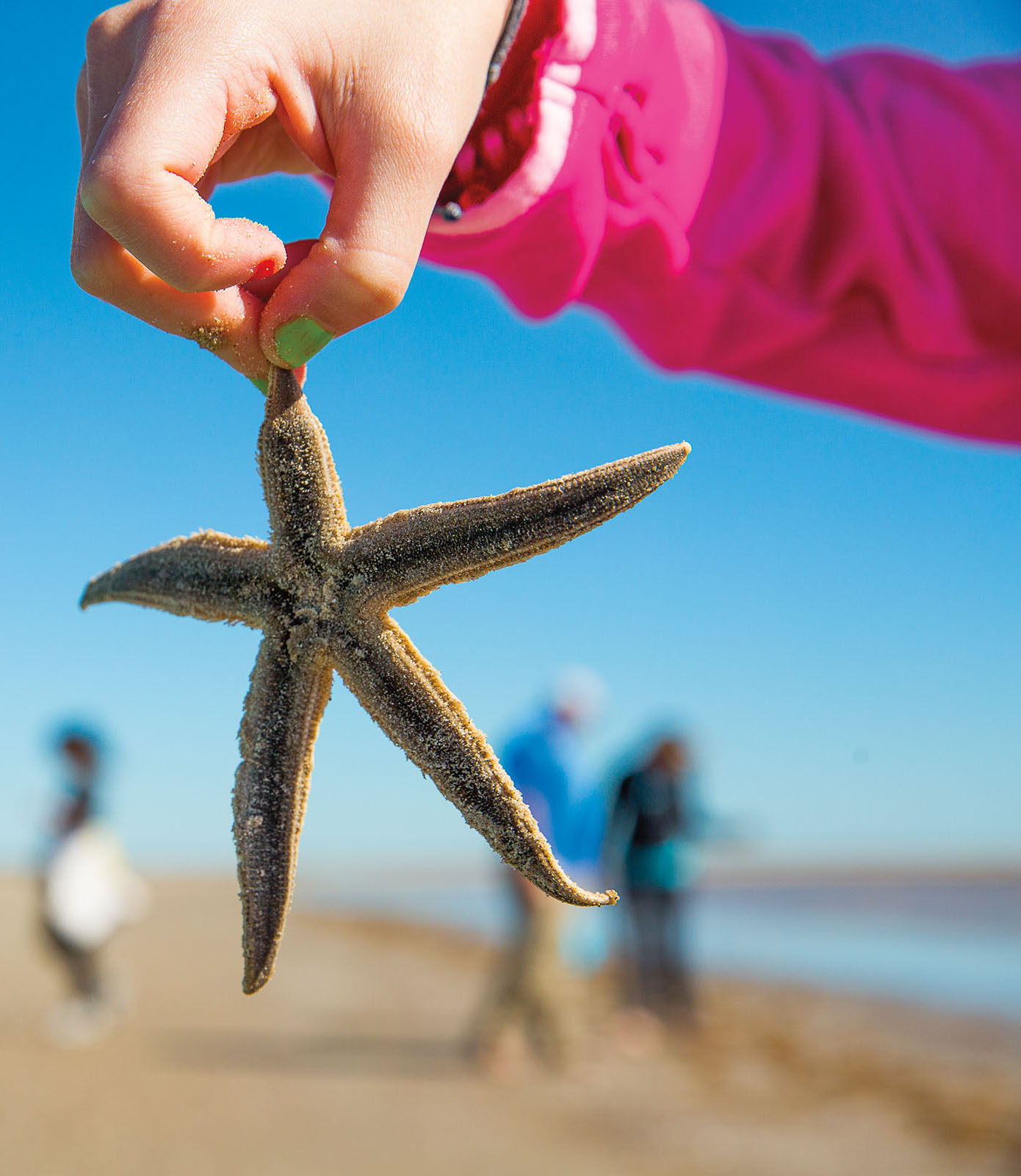 A young person holds up a starfish in Matagorda Bay Nature Park in Texas