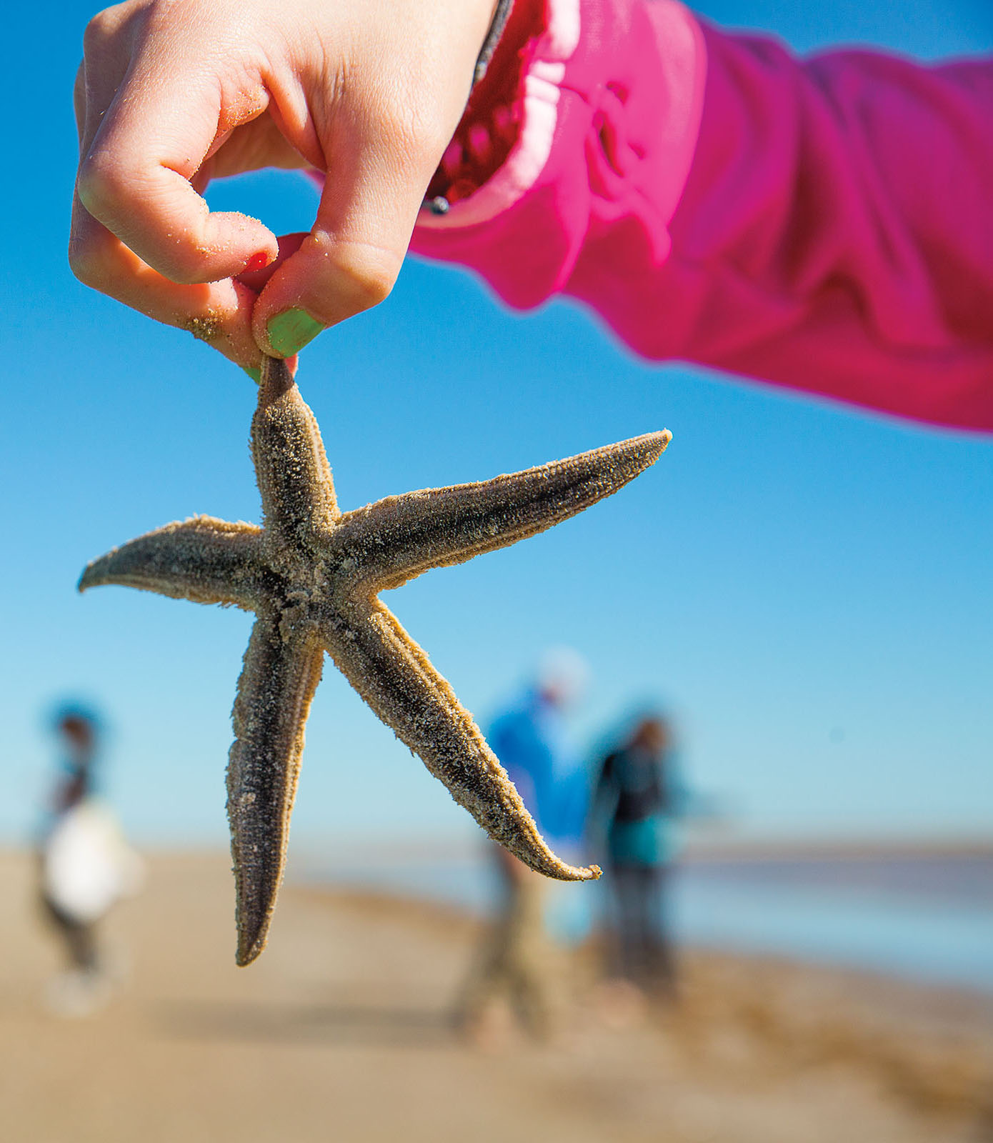 Un giovane tiene una stella marina nel Matagorda Bay Nature Park in Texas