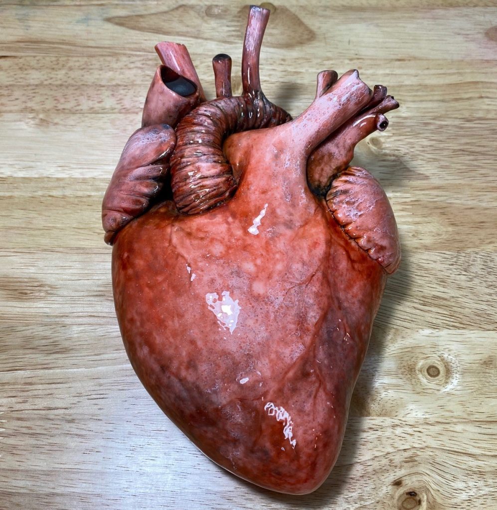 Heart organ cake