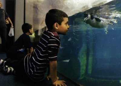 Galveston’s Moody Gardens